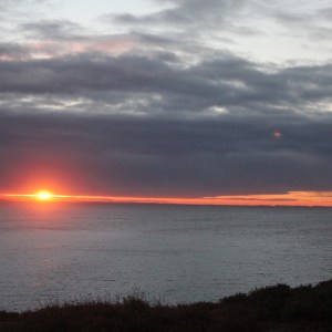 Great ocean Road Day Tours showing sunrise near Bells Beach