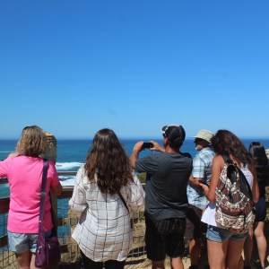 Happy travelers at Loch Ard Gorge taking photos