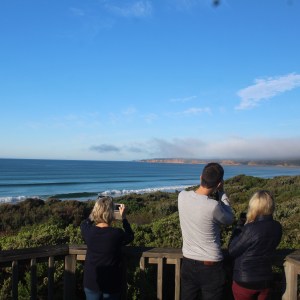 Secret Lookout @ Anglesea