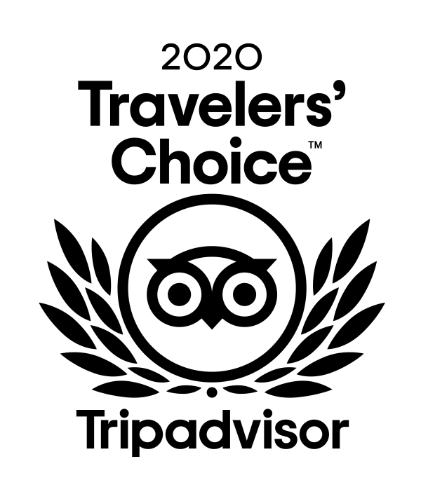TC_2020_L_TRANSPARENT_BG_RGB shape