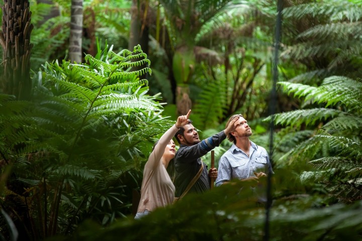 a man sitting in a tree